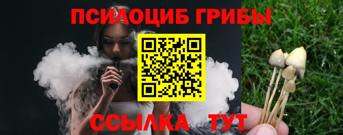 цена   Псилоцибиновые грибы Psilocybine cubensis  Галлюциногенные грибы MAGIC MUSHROOMS  Вход с VPN  Сердобск 
