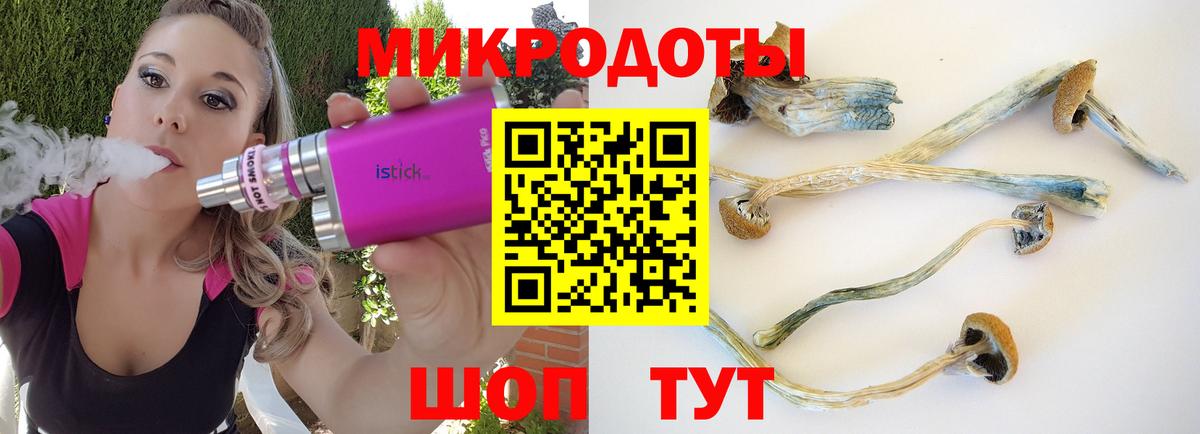 Псилоцибиновые грибы Magic Shrooms Сердобск